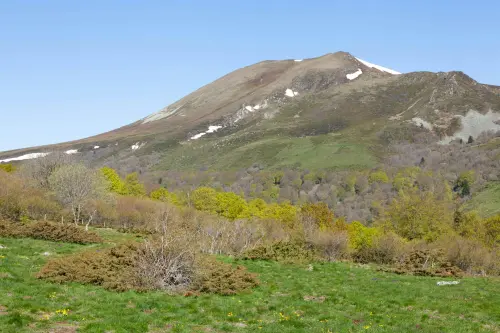Courmayeur, clean-up al Parco Bollino il 22 maggio: 80 posti
