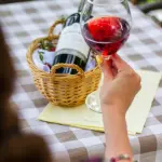 I vini della Valle d’Aosta, guida ai vigneti più in quota d’Europa