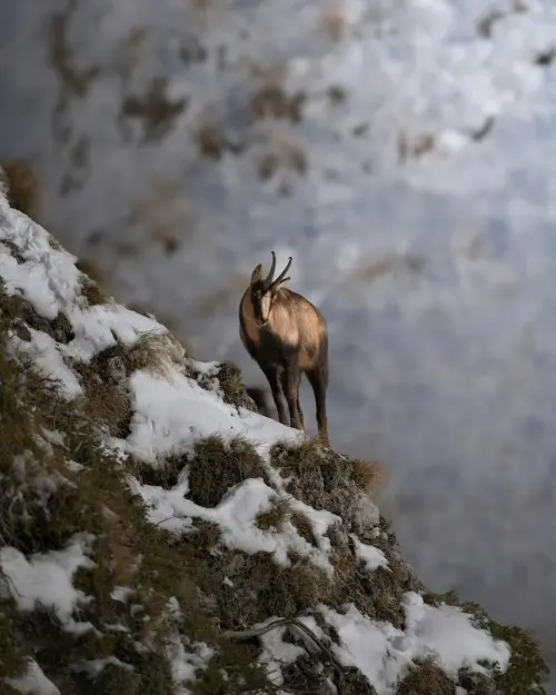 Chamois senza auto: guida al borgo alpino della Valle d’Aosta