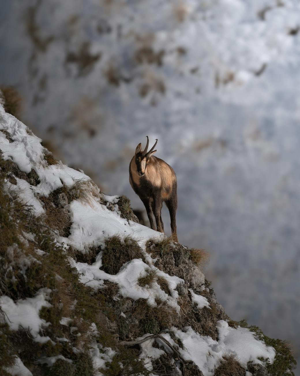 Chamois senza auto: guida al borgo alpino della Valle d’Aosta