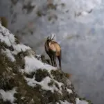Chamois senza auto: guida al borgo alpino della Valle d’Aosta