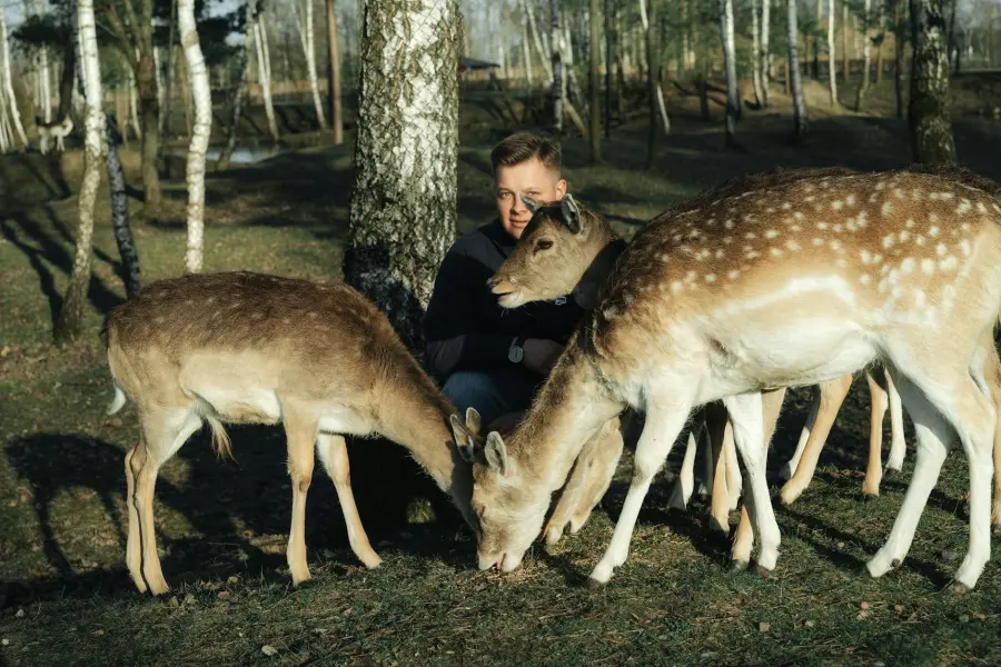 One Health, al Forte di Bard corso su fauna selvatica e alimenti